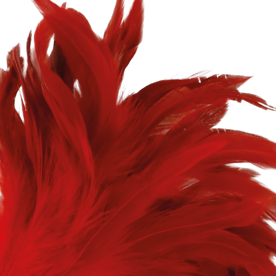 Plume Rouge Vibrante