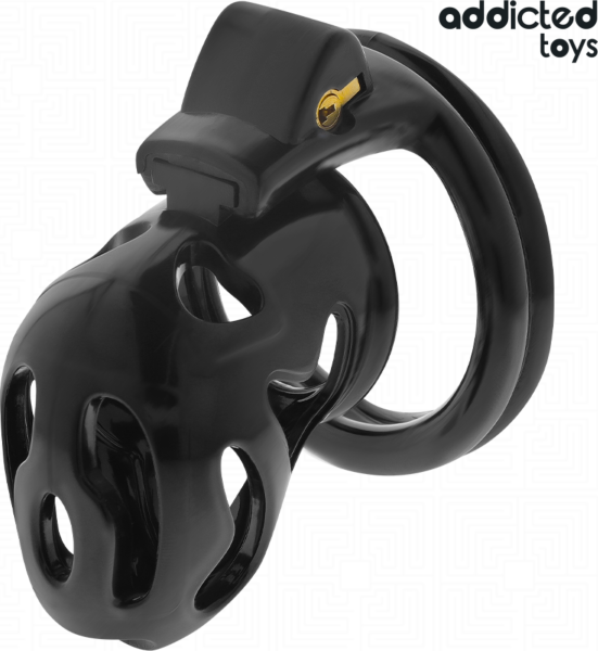 Cage de chasteté Addicted Toys Locked 8 cm avec ses quatre anneaux et ses clés