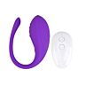 Vibrateur œuf télécommandé Loving Joy 20 cm