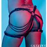 Harnais de cuisses CalExotics Euphoria Multi Chain