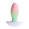 Vibrateur Paradise Pleasure The Plug avec éclairage RGB
