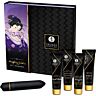 Kit Couples SHUNGA Kit Geisha Naughty pour une nuit de passion