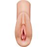 Masturbateur PDX PLUS+ Perfect Pussy Heaven avec détails réalistes