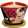 Bougie de massage SHUNGA Mini Caress 170 ml
