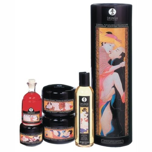 collection Shunga des plaisirs charnels