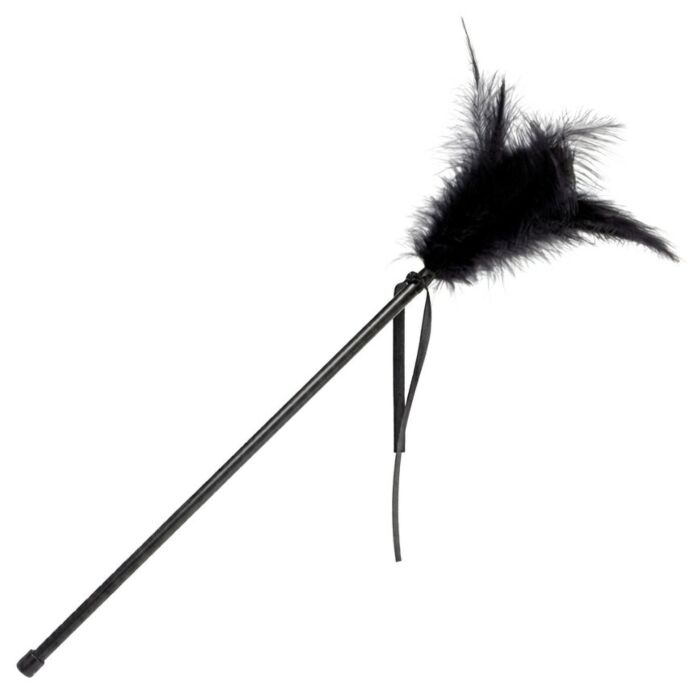 Plumeau en plumes Secretplay 40 cm