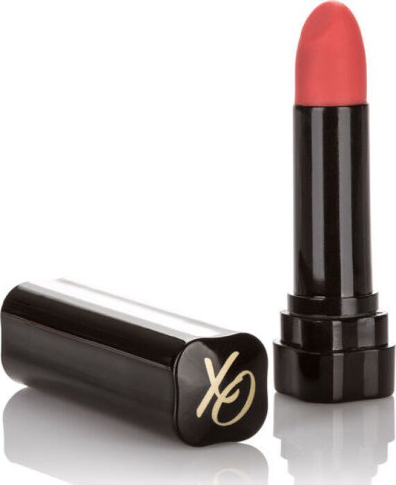 Vibromasseur Hide & Play de CALEXOTICS