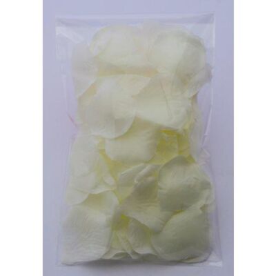 Blanc Floral Sensuel